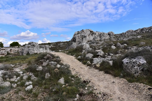 Sentieri intorno San Vito alla Murgia