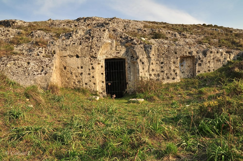 Madonna della Croce