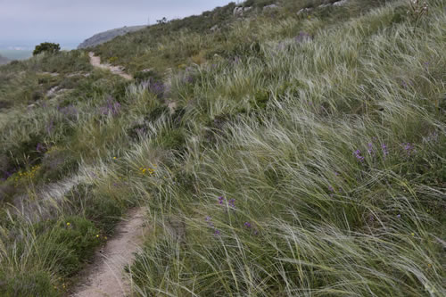 Sentieri del Parco della Murgia Materana