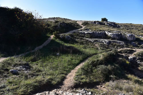 Sentieri intorno San Vito alla Murgia