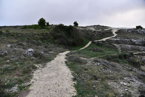 Sentieri intorno San Vito alla Murgia