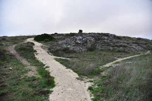 Sentieri intorno San Vito alla Murgia