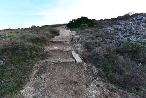 Sentieri intorno San Vito alla Murgia