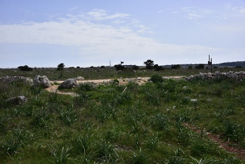 Strada Murgia Timone - lavori