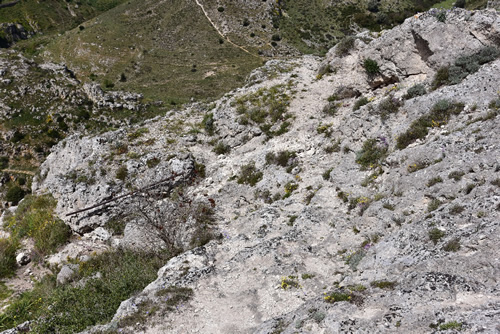 Sentieri intorno San Vito alla Murgia