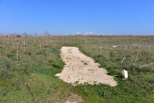 Villaggio Neolitico lavori