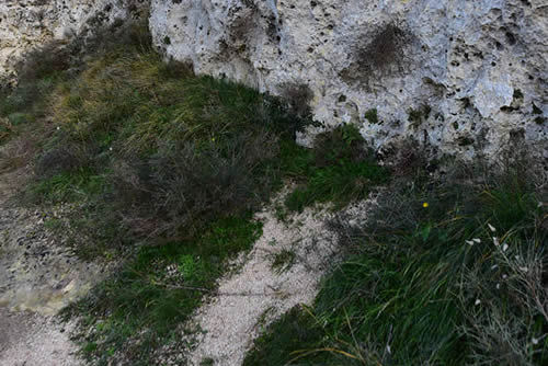 Asceterio di Sant’Agnese - Lavori