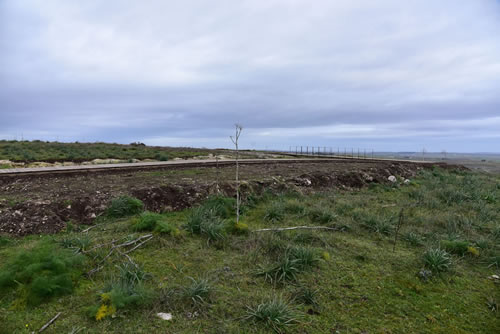 Villaggio Neolitico lavori