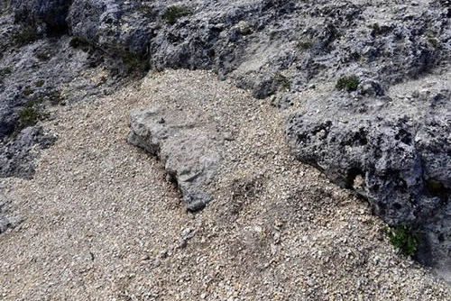 Sentieri intorno a San Falcione