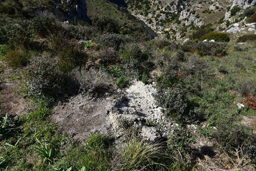 Madonna della Croce - lavori