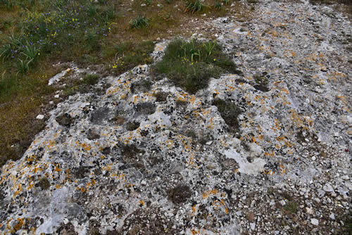 Superficie rocciosa esposta Parco della Murgia Materana