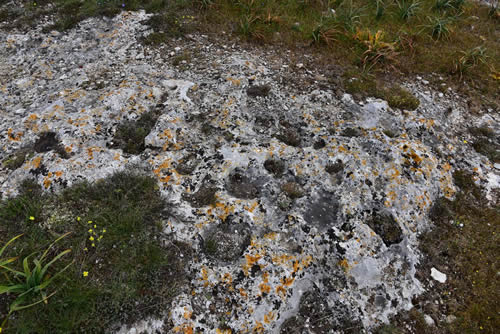 Superficie rocciosa esposta Parco della Murgia Materana