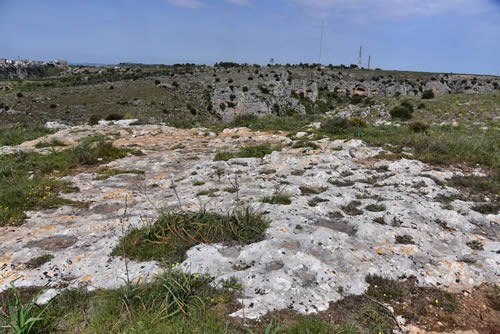 Superficie rocciosa esposta Parco della Murgia Materana