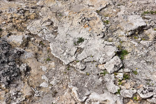 Effetti della superficie rocciosa scoperta - Parco della Murgia Materana