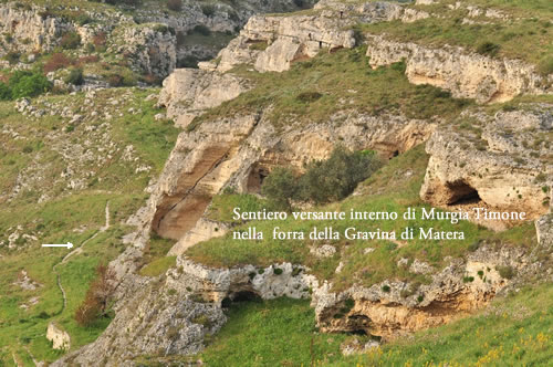 Sezione di Forra della Gravina di Matera