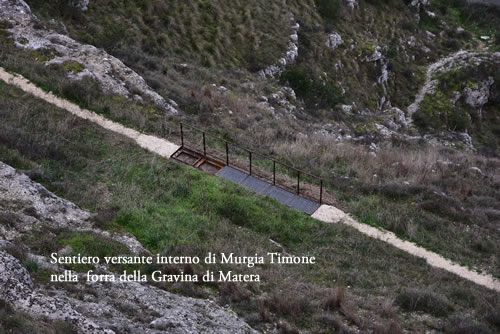 Sezione di Forra della Gravina di Matera